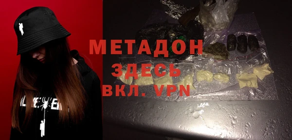 хмурый Аркадак