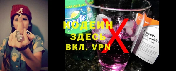 хмурый Аркадак