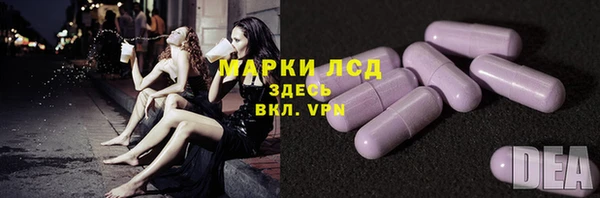 хмурый Аркадак