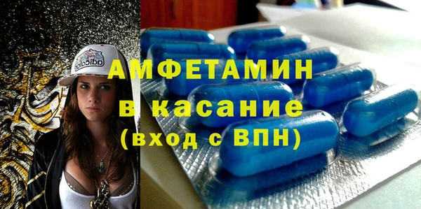 хмурый Аркадак