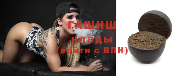 хмурый Аркадак