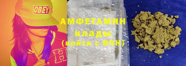 хмурый Аркадак