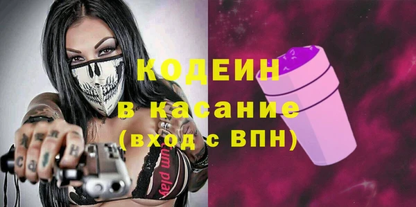 хмурый Аркадак