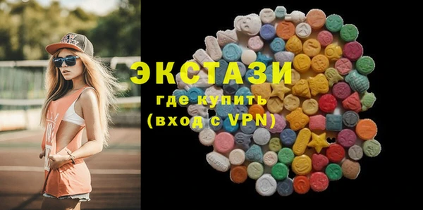 хмурый Аркадак